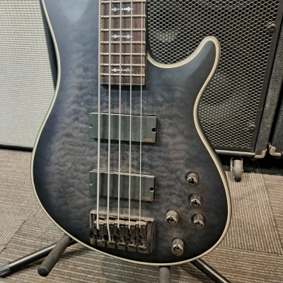 Schecter Hellraiser Extreme 5 String Bass 3